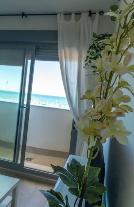 El Beduino By Gades Gestion Apartment Cadiz Exterior photo